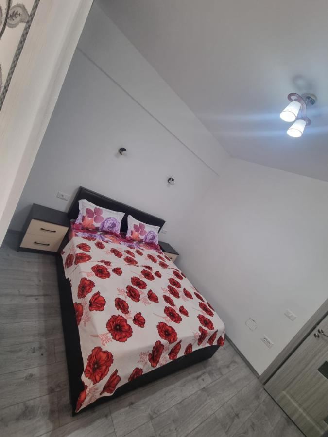 Apartament Mihaela Râmnicu Vâlcea 외부 사진